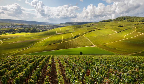 Gironde | Love’nSpa