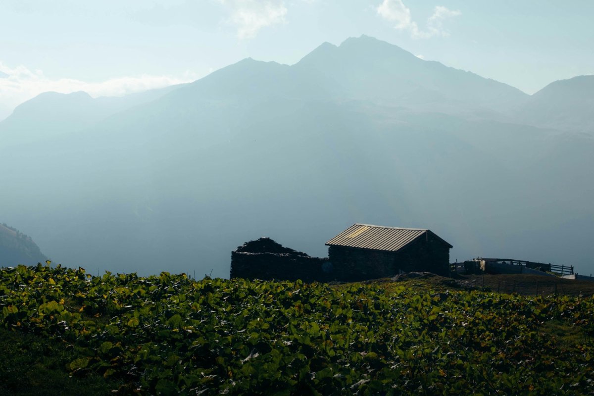 Mont-de-Marsan - Love’nSpa