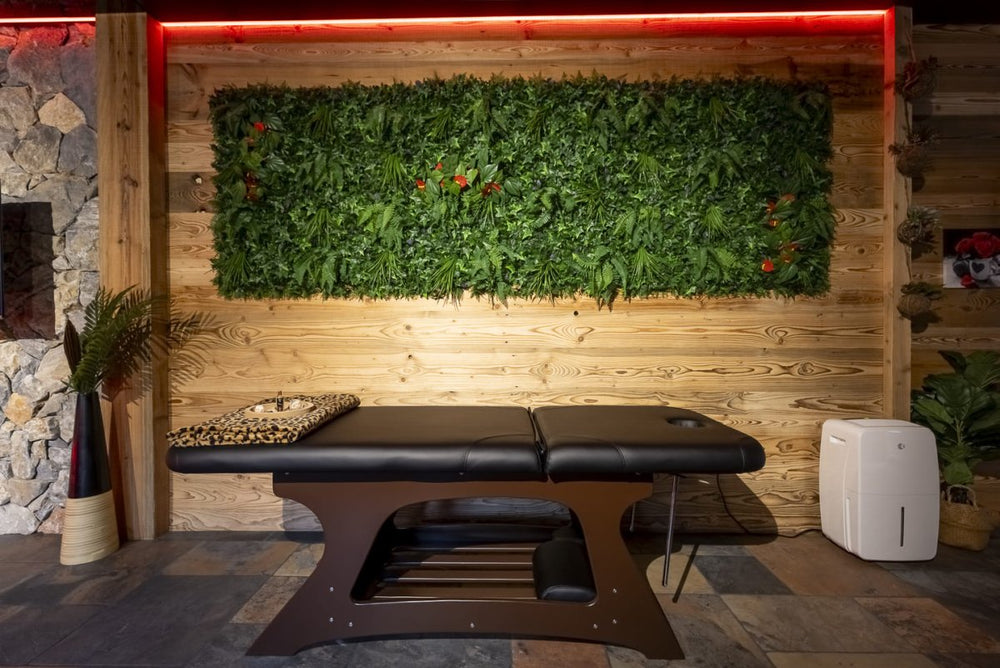 Luxury love room Tentation - Love’nSpa - weekend en amoureux, love rooms avec spa ou jacuzzi privatif6 de Love Room Tentation