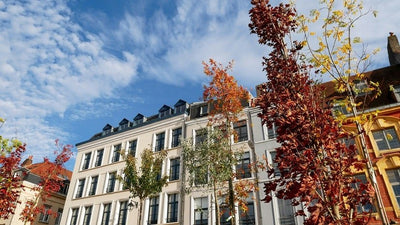 10 Idées de Week-end en Amoureux dans les Hauts de France