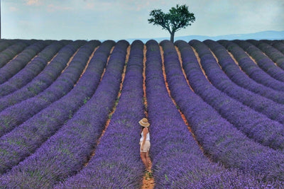 10 idées de week-end en amoureux en Provence-Alpes-Côte d'Azur