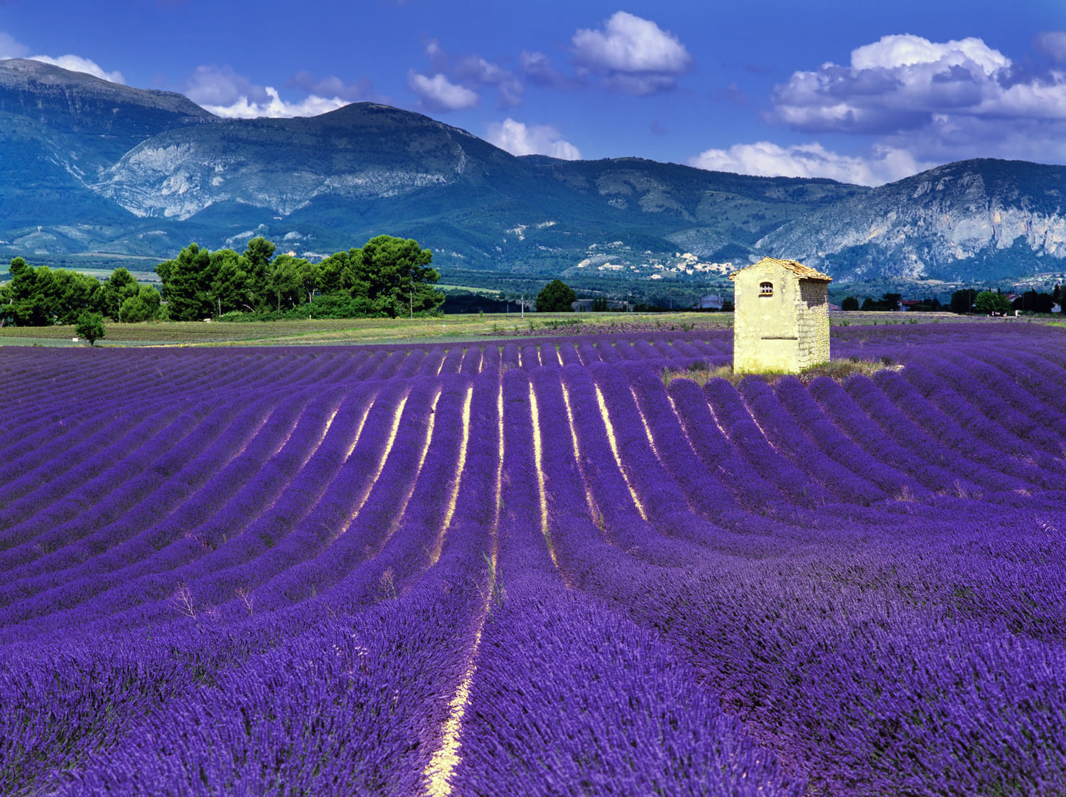 Drome - Lovenspa - Loveroom - Week-end en amoureux 