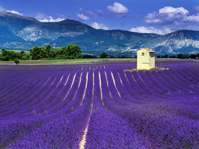Drome - Lovenspa - Loveroom - Week-end en amoureux 