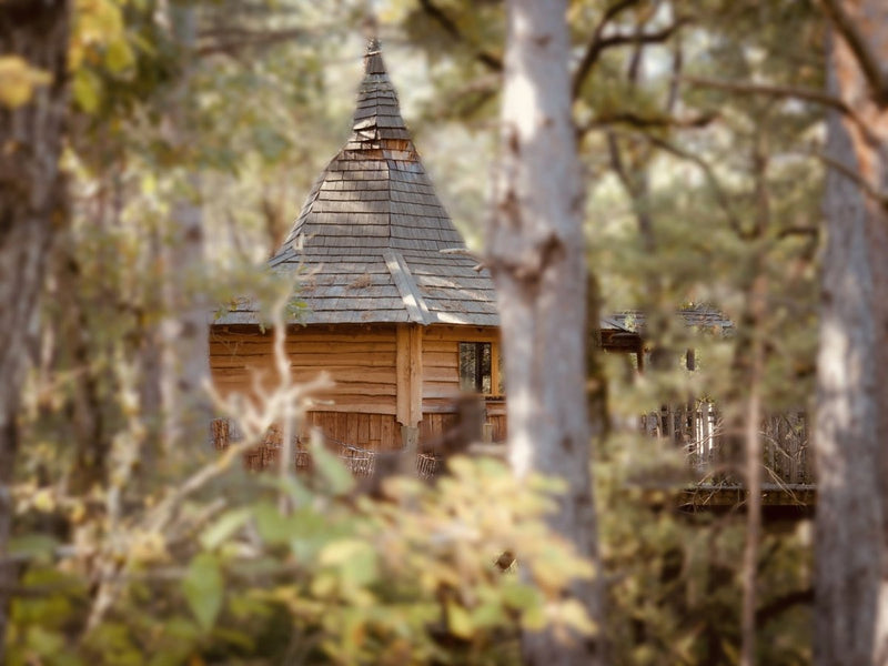 Cabane dans les arbres avec jacuzzi privatif - Aristoloche - Love’nSpa - weekend en amoureux, love rooms avec spa ou jacuzzi privatif