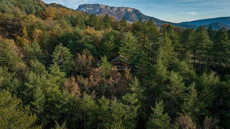 Cabane dans les arbres avec jacuzzi privatif - Bois d&
