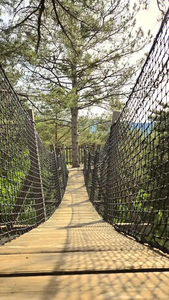 Cabane dans les arbres avec jacuzzi privatif - Bois d'Arambe - Love’nSpa - weekend en amoureux, love rooms avec spa ou jacuzzi privatif29 de Cabane dans les arbres avec jacuzzi privatif - Bois d'Arambe
