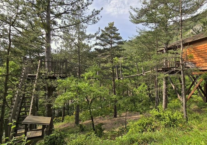 Cabane dans les arbres avec jacuzzi privatif - Bois d&