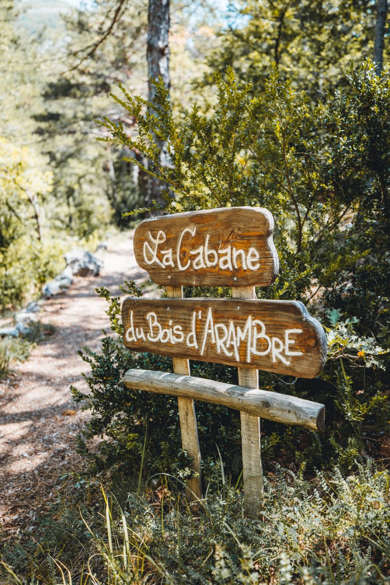 Cabane dans les arbres avec jacuzzi privatif - Bois d&