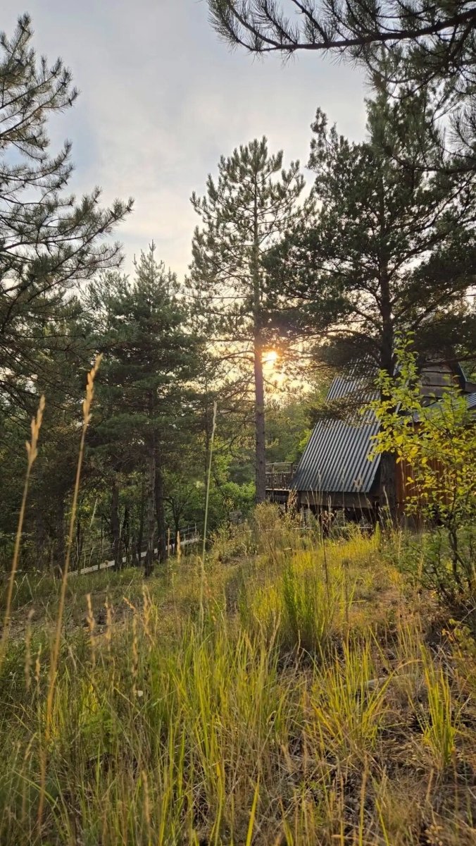 Cabane dans les arbres avec jacuzzi privatif - Petite Buëch - Love’nSpa - weekend en amoureux, love rooms avec spa ou jacuzzi privatif27 de Cabane dans les arbres avec jacuzzi privatif - Petite Buëch
