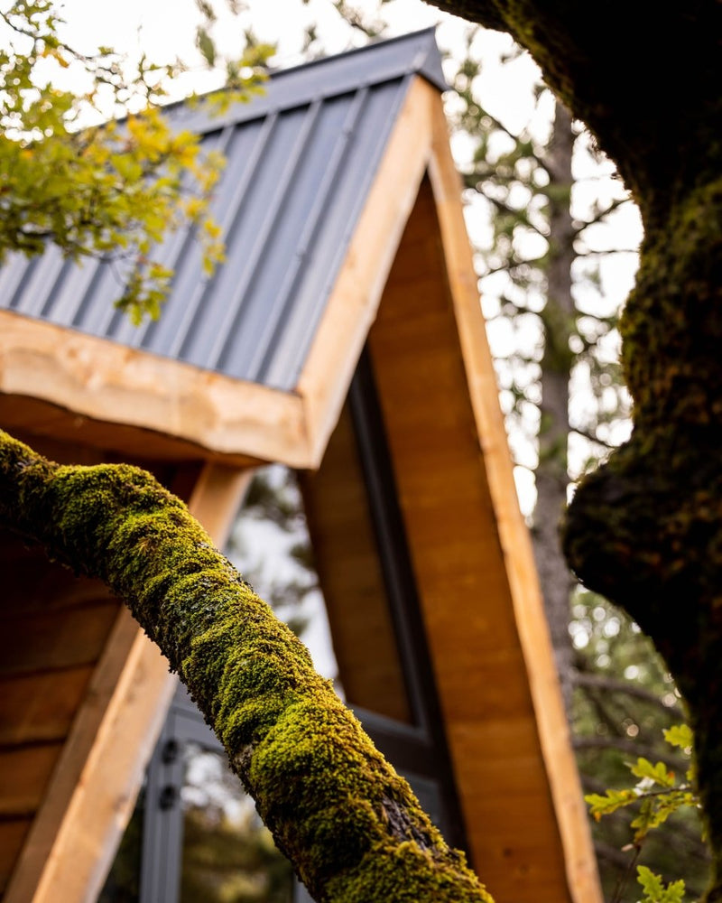 Cabane dans les arbres avec jacuzzi privatif - Petite Buëch - Love’nSpa - weekend en amoureux, love rooms avec spa ou jacuzzi privatif