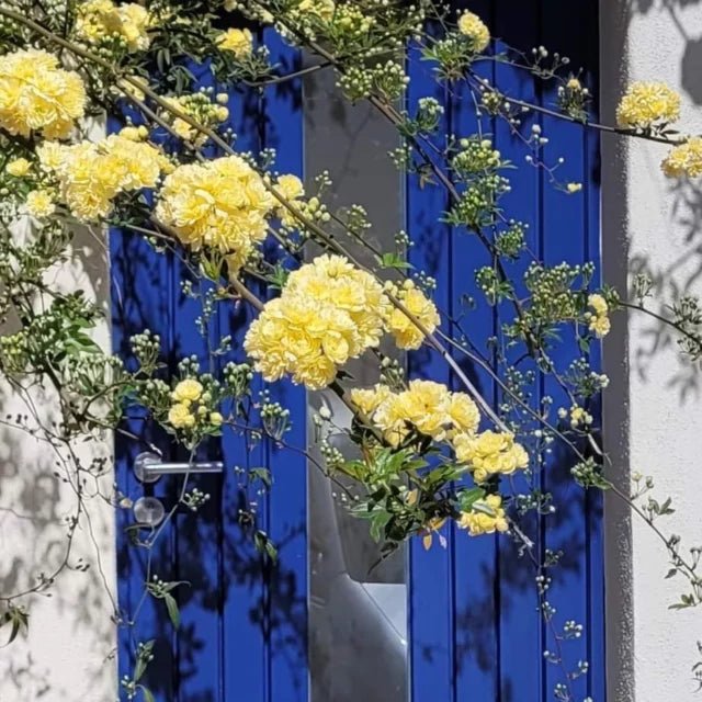 LA PROMENADE SUITE AND SPA - Love’nSpa - weekend en amoureux, love rooms avec spa ou jacuzzi privatif2 de LA PROMENADE SUITE AND SPA
