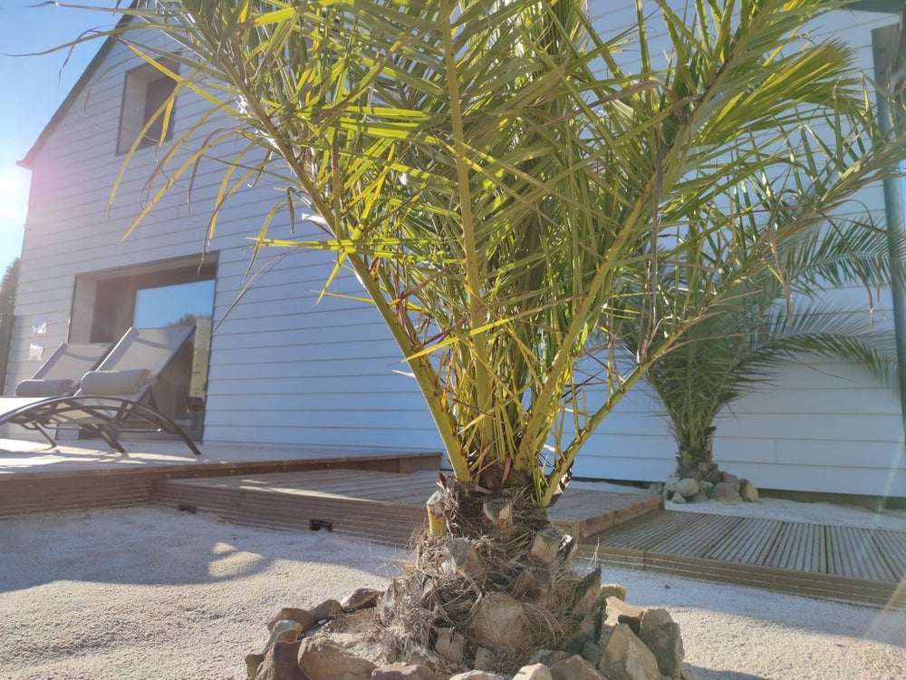 Le Romantik' - Love’nSpa - weekend en amoureux, love rooms avec spa ou jacuzzi privatif4 de Le Romantik'
