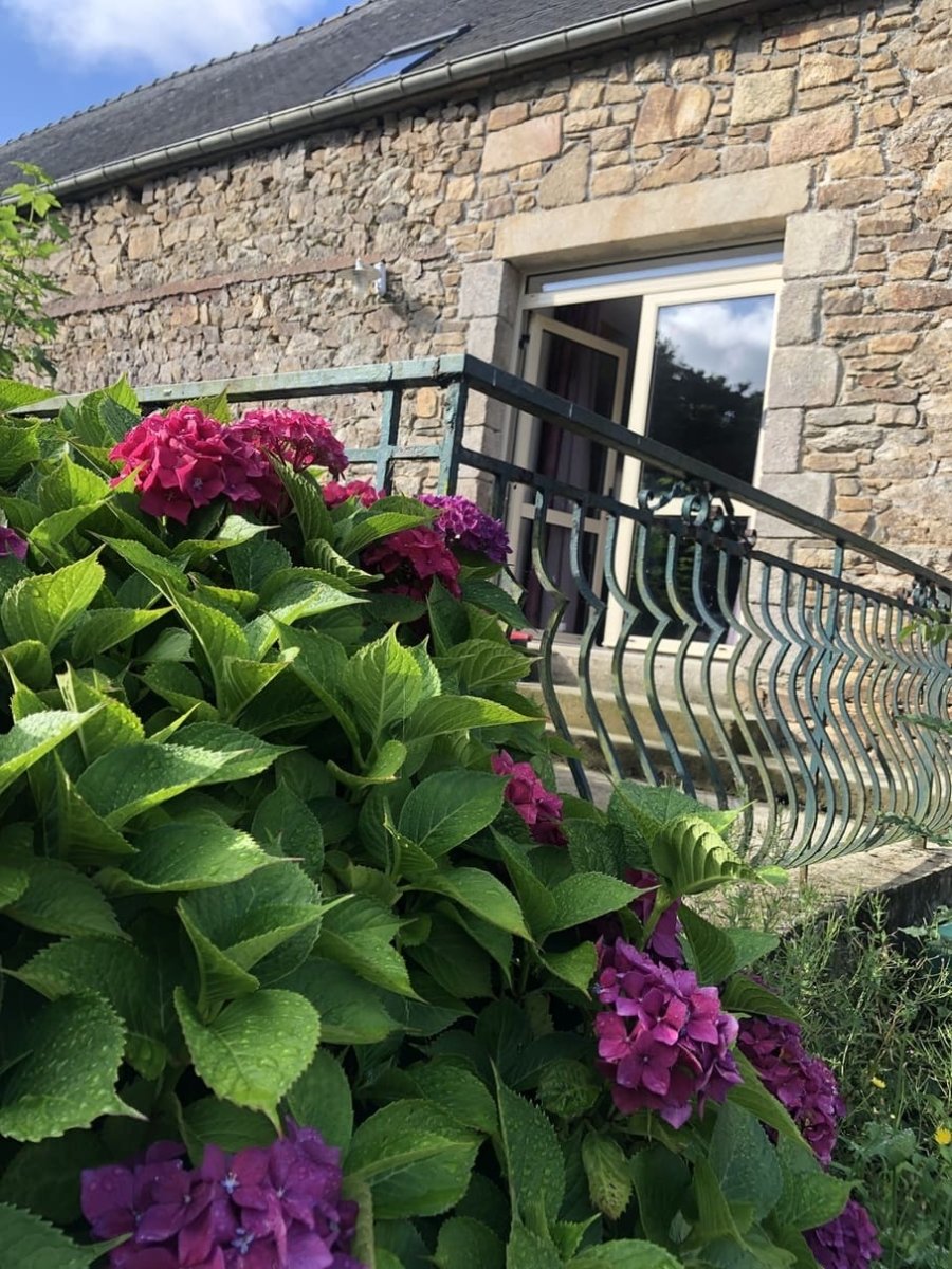 Les Ajoncs - Love’nSpa - weekend en amoureux, love rooms avec spa ou jacuzzi privatif3 de Les Ajoncs
