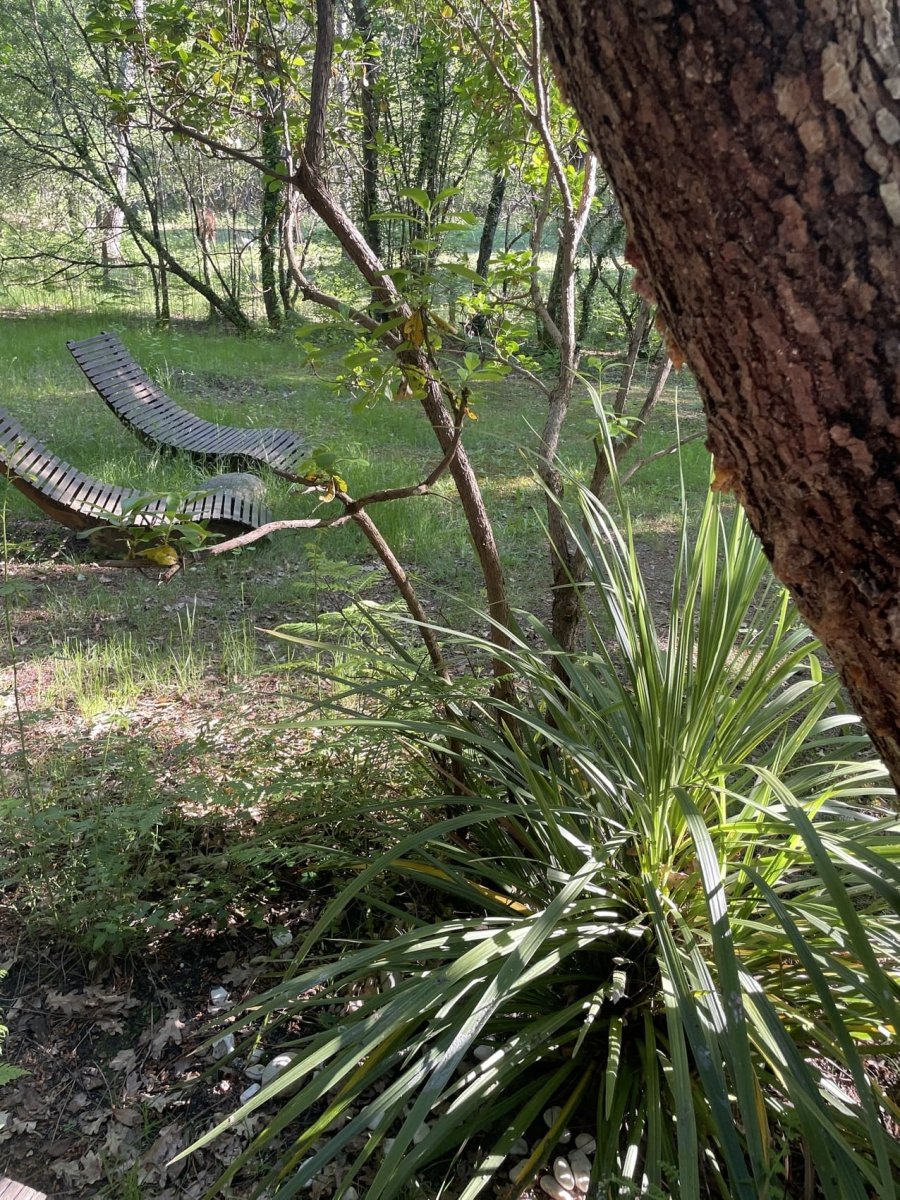 Les Landines - Le Lodge et son spa - Love’nSpa - weekend en amoureux, love rooms avec spa ou jacuzzi privatif10 de Les Landines - Le Lodge et son spa
