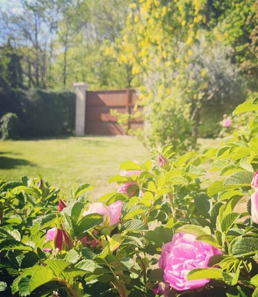 L'Escapade Amoureuse - Love’nSpa - weekend en amoureux, love rooms avec spa ou jacuzzi privatif7 de L'Escapade Amoureuse
