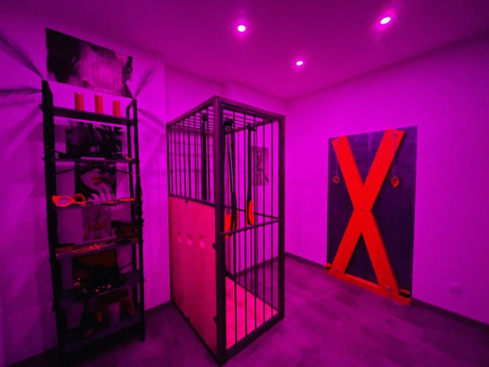 Maison de Monplaisir - Love Room Lyon - Love’nSpa - weekend en amoureux, love rooms avec spa ou jacuzzi privatif3 de Maison de Monplaisir - Love Room Lyon
