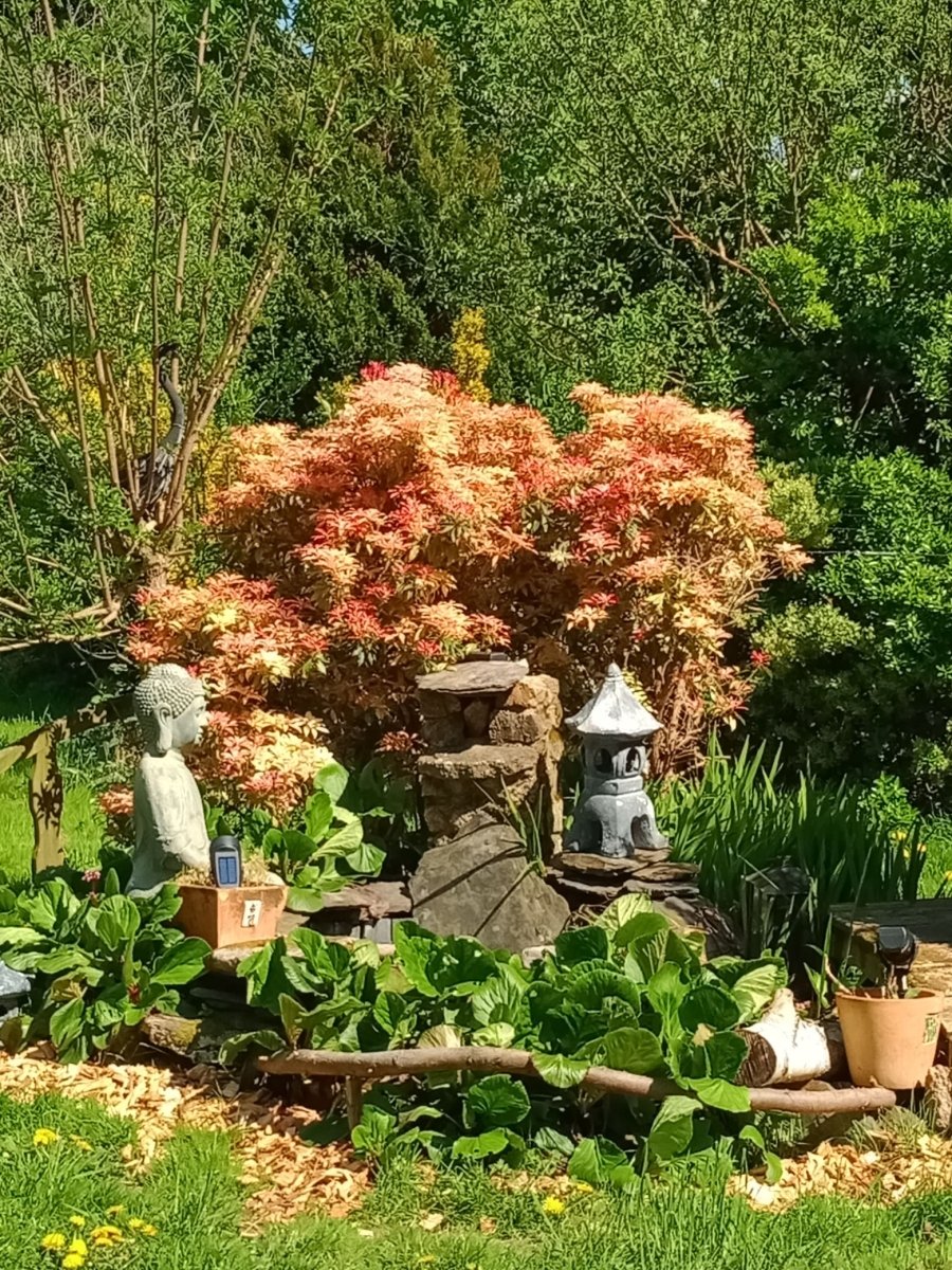 Manoir du Grand Chêne - Suite Celtique - Love’nSpa - weekend en amoureux, love rooms avec spa ou jacuzzi privatif18 de Manoir du Grand Chêne - Suite Celtique
