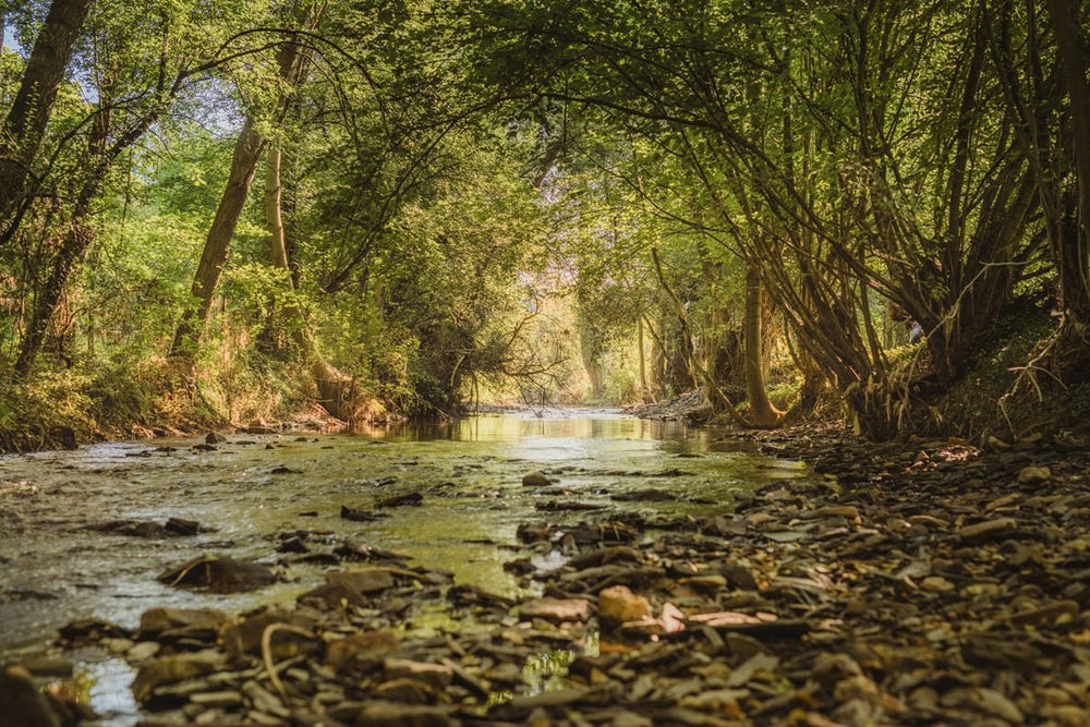 Ô NaNo - Love’nSpa - weekend en amoureux, love rooms avec spa ou jacuzzi privatif21 de Ô NaNo
