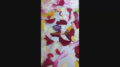 Au Temps des Cerises - Le Magnolia