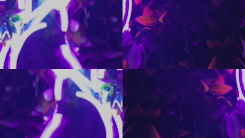 L&