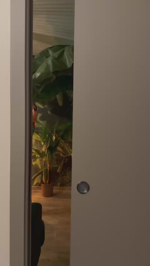 Le Lodge de la Jungle
