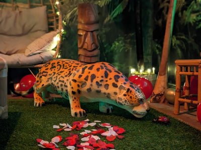 SPAssionnement à l'Exotique - Love’nSpa - weekend en amoureux, love rooms avec spa ou jacuzzi privatif