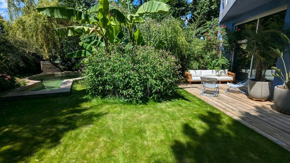 Tropic Bloom Spa & Cinema - Love’nSpa - weekend en amoureux, love rooms avec spa ou jacuzzi privatif12 de Tropic Bloom Spa & Cinema
