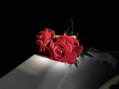 Amour amour - Loveroom - Love’nSpa - weekend en amoureux, love rooms avec spa ou jacuzzi privatif