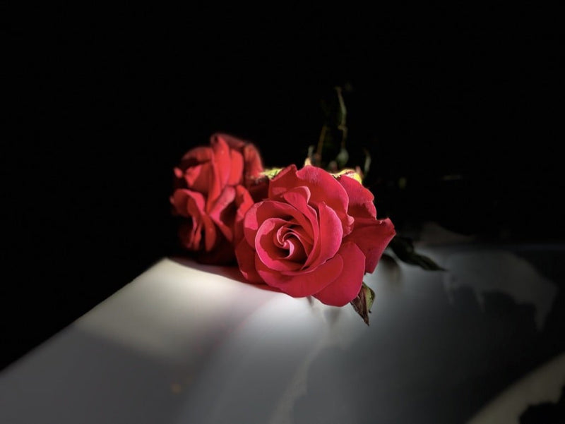 Amour amour - Loveroom - Love’nSpa - weekend en amoureux, love rooms avec spa ou jacuzzi privatif