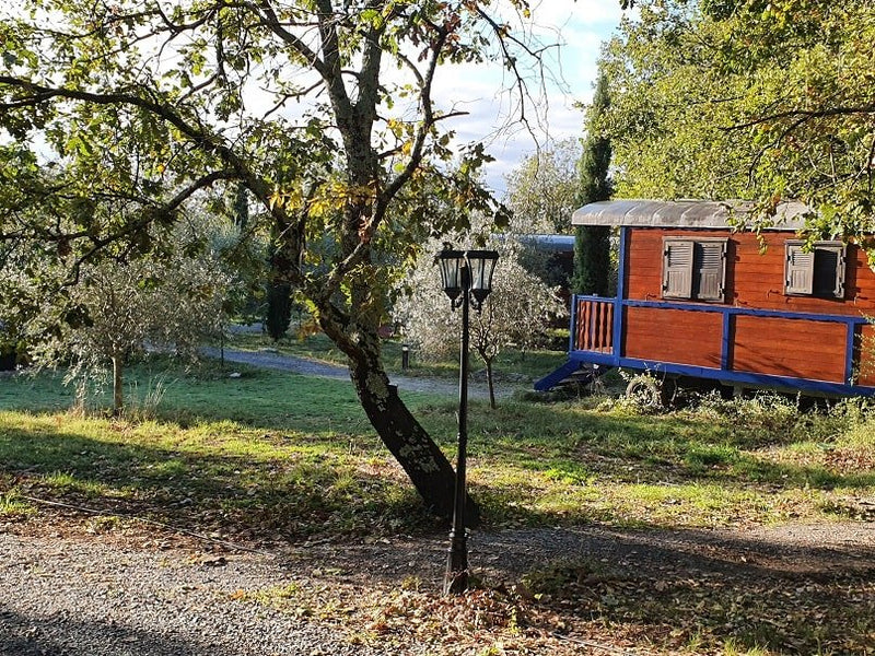 Domaine Saint Cerice - Nid d&