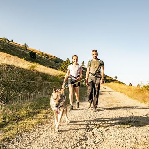 Gîte La Patte Nordic - Chalet Trappeur - Love’nSpa - weekend en amoureux, love rooms avec spa ou jacuzzi privatif9 de Gîte La Patte Nordic - Chalet Trappeur
