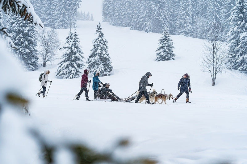 Gîte La Patte Nordic - Chalet Trappeur - Love’nSpa - weekend en amoureux, love rooms avec spa ou jacuzzi privatif
