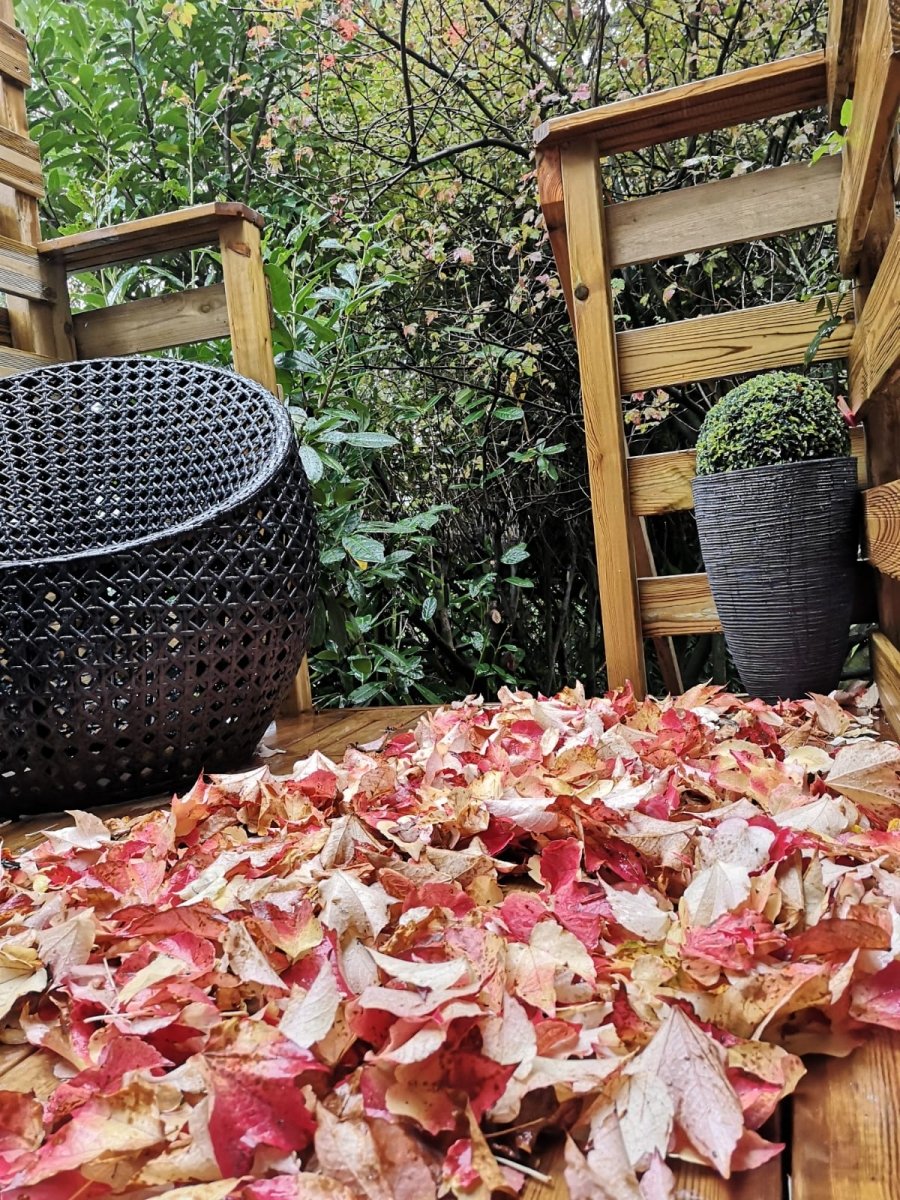 Gîte un Amour d’Ange - Love’nSpa - weekend en amoureux, love rooms avec spa ou jacuzzi privatif4 de Gîte un Amour d’Ange
