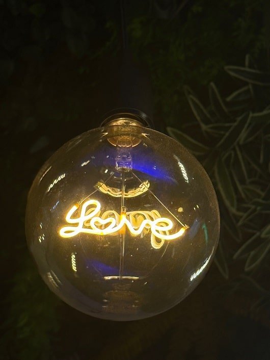 Le Double L - Love’nSpa - weekend en amoureux, love rooms avec spa ou jacuzzi privatif9 de Le Double L
