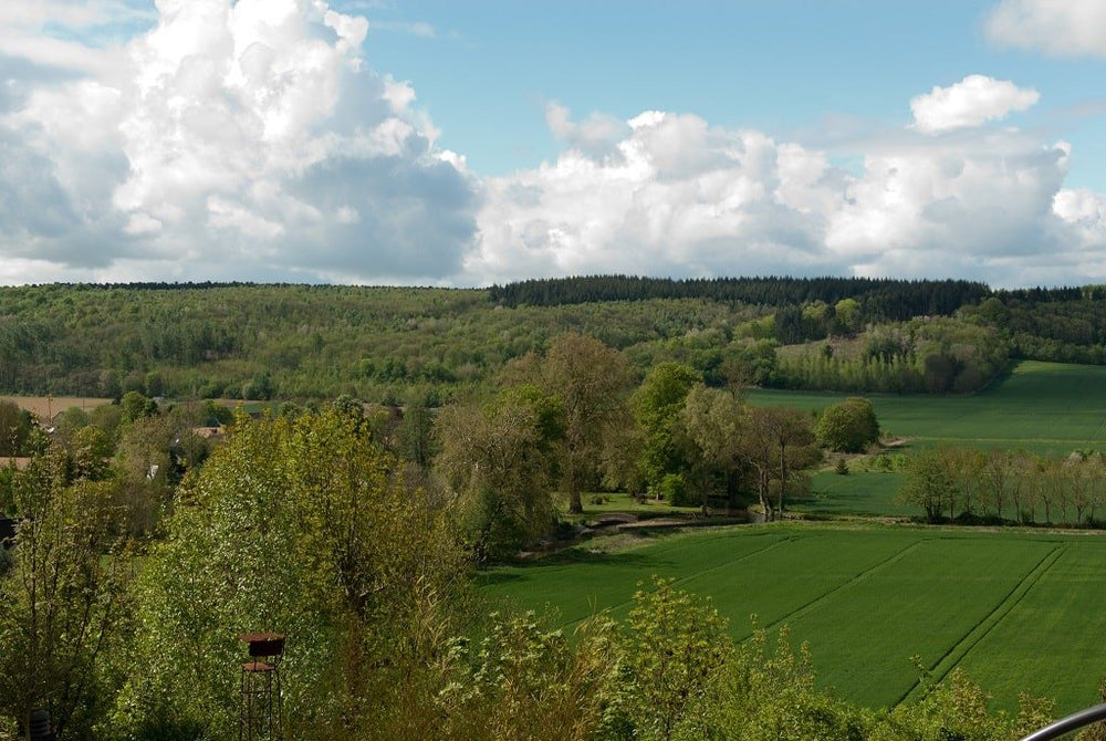 Le Vert Galant - Love’nSpa - weekend en amoureux, love rooms avec spa ou jacuzzi privatif9 de Le Vert Galant
