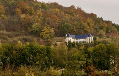 Le Vert Galant - Love’nSpa - weekend en amoureux, love rooms avec spa ou jacuzzi privatif