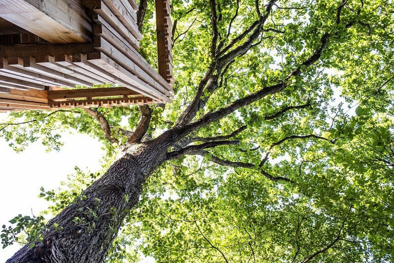 Loire Valley Lodge - Lodges design avec jacuzzi privé en terrasse - O'plumes - Love’nSpa - weekend en amoureux, love rooms avec spa ou jacuzzi privatif3 de Loire Valley Lodge - Lodges design avec jacuzzi privé en terrasse - O'plumes
