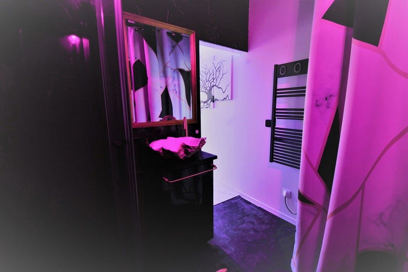 Love Room Fécamp - Appartement 3 - Love’nSpa - weekend en amoureux, love rooms avec spa ou jacuzzi privatif - love room Normandie