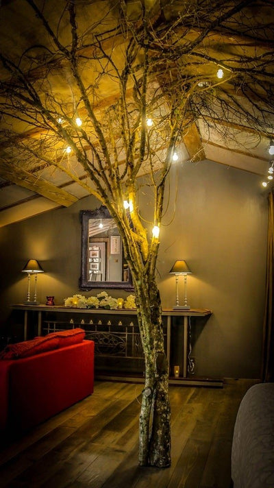 Lyon campagne loft papillons - Love’nSpa - weekend en amoureux, love rooms avec spa ou jacuzzi privatif