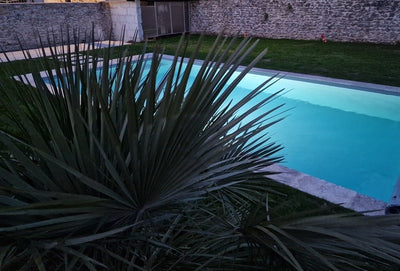 Lyzen - Suite Zen - Love’nSpa - weekend en amoureux, love rooms avec spa ou jacuzzi privatif
