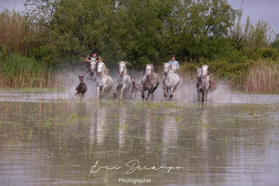 Mas du pont rouge - Love’nSpa - weekend en amoureux, love rooms avec spa ou jacuzzi privatif2 de Mas du pont rouge
