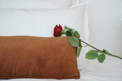 My Home Prestige - Love’nSpa - weekend en amoureux, love rooms avec spa ou jacuzzi privatif