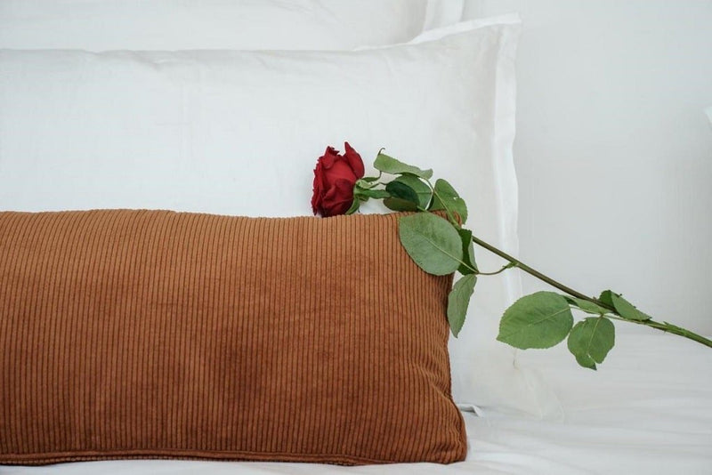 My Home Prestige - Love’nSpa - weekend en amoureux, love rooms avec spa ou jacuzzi privatif