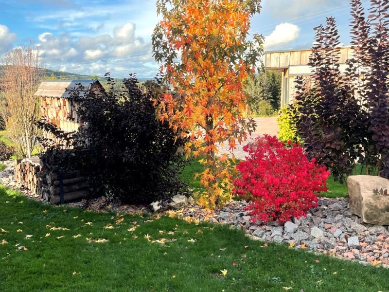 Nature Cottage Vosges - Cottage avec spa privatif - Love’nSpa - weekend en amoureux, love rooms avec spa ou jacuzzi privatif