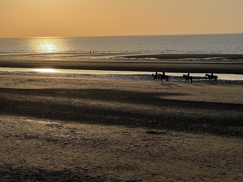 Nü-de spa Zuydcoote plage - Love’nSpa - weekend en amoureux, love rooms avec spa ou jacuzzi privatif3 de Nü-de spa Zuydcoote plage - Lost Paradise
