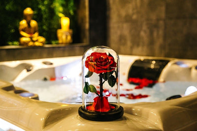 Oz Love Suite - Love’nSpa - weekend en amoureux, love rooms avec spa ou jacuzzi privatif