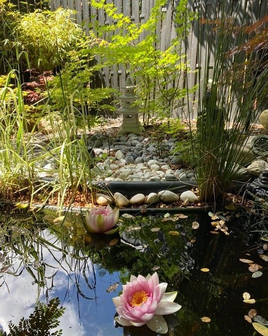 Oz Love Suite - Love’nSpa - weekend en amoureux, love rooms avec spa ou jacuzzi privatif4 de Oz Love Suite
