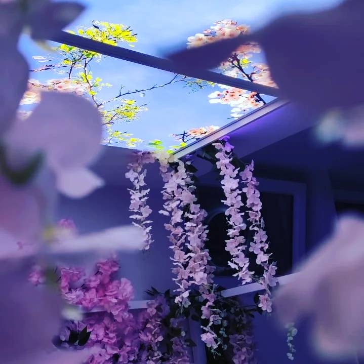 Rêves de Cocon - Le Cocon des Merveilles - Love’nSpa - weekend en amoureux, love rooms avec spa ou jacuzzi privatif4 de Rêves de Cocon - Le Cocon des Merveilles
