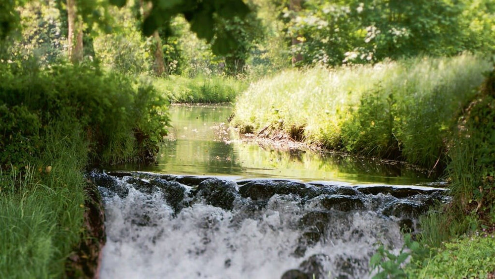 Room8 - Love’nSpa - weekend en amoureux, love rooms avec spa ou jacuzzi privatif10 de Room8
