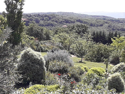 Trésors de Campagne -Lodge sur pilotis « Miel et Coton » avec jacuzzi privatif - Love’nSpa - weekend en amoureux, love rooms avec spa ou jacuzzi privatif